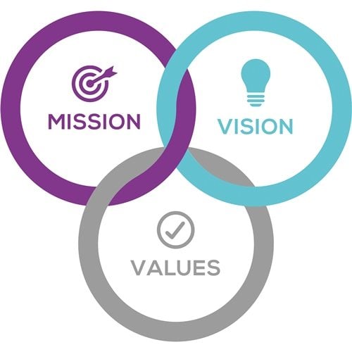 skinviva-training-mission-vision-values